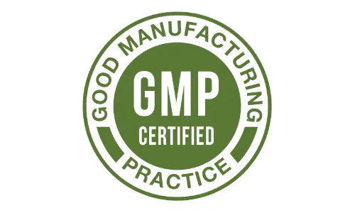 BriteWite Whitening Powder GMP Certified